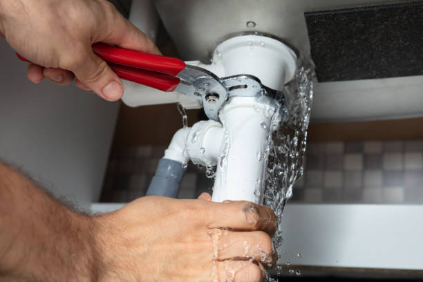 Best Flooded house restoration  in Warrior, AL