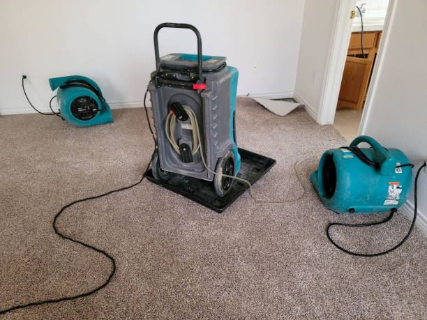 Best Ceiling water damage repair  in Warrior, AL